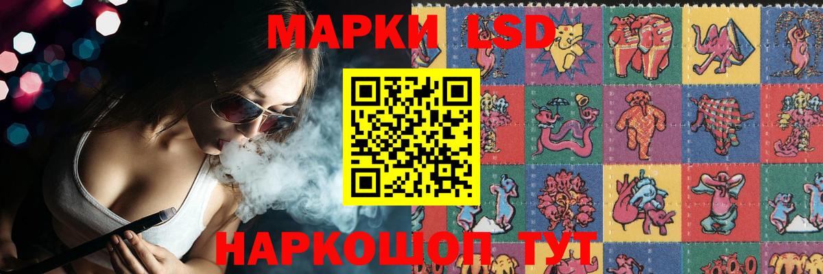 LSD-25 экстази кислота  Вход с VPN  Славгород  ЛСД экстази кислота 