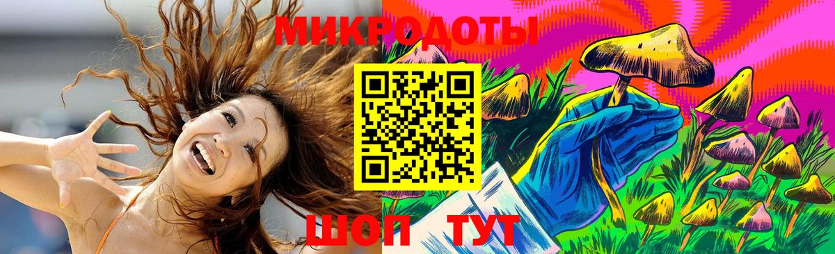 Славгород  Галлюциногенные грибы Magic Shrooms  Вход с VPN  Галлюциногенные грибы мухоморы 