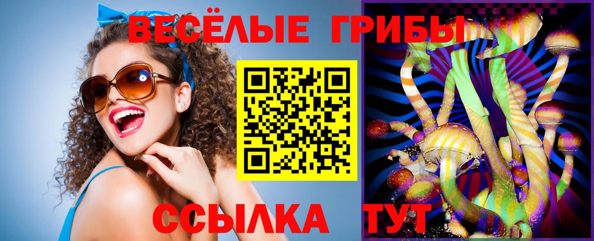 Псилоцибиновые грибы Psilocybine cubensis Славгород